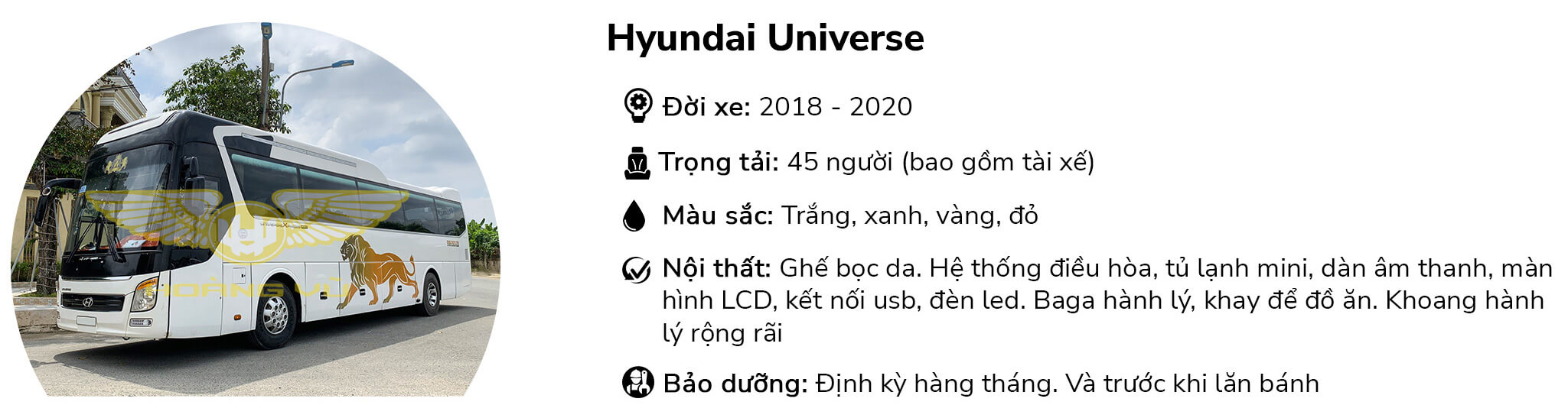 Xe cho thuê 45 chỗ Hyundai Universe