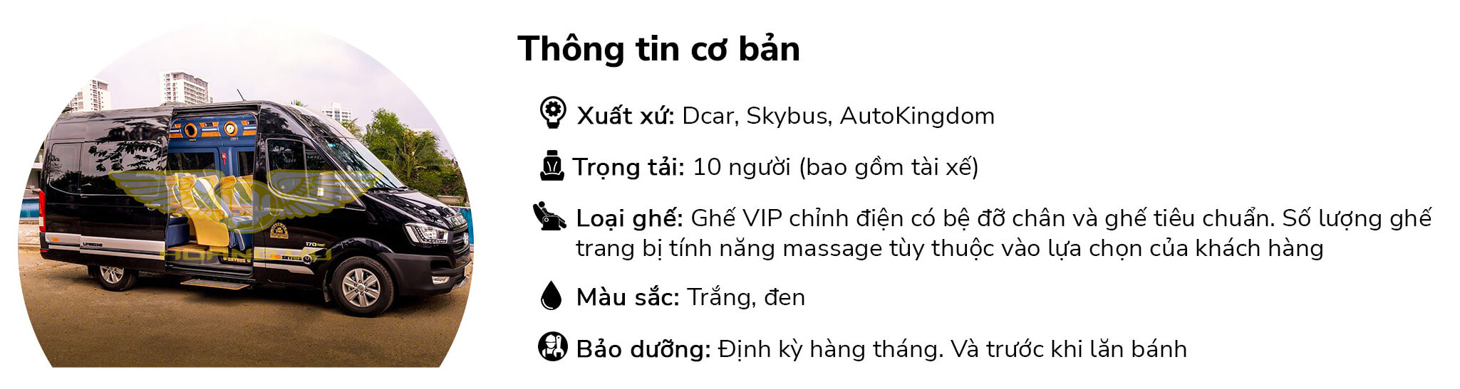 Thông tin cơ bản xe cho thuê Limousine 9 chỗ